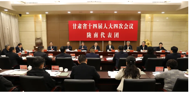 陇南市人民代表大会常务委员会